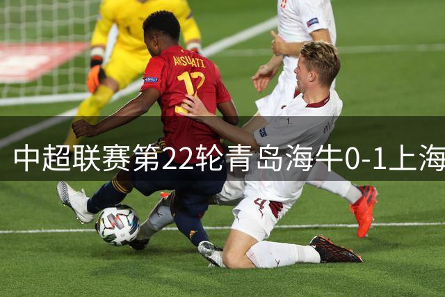 中超联赛第22轮青岛海牛0-1上海申花 Match Day比赛日纪实