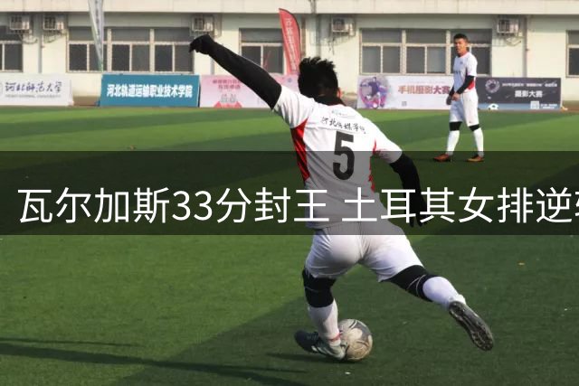 瓦尔加斯33分封王 土耳其女排逆转巴西问鼎世联赛