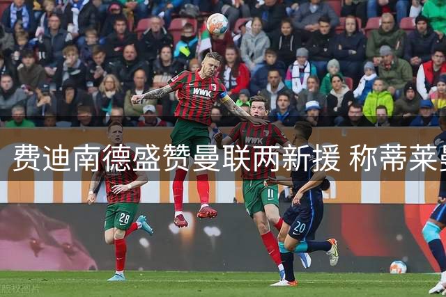 费迪南德盛赞曼联两新援 称蒂莱曼斯性价比超高